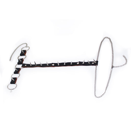 Harness spikey