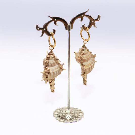 Aretes de caracol