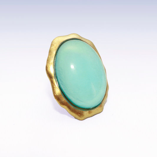 Anillo visión